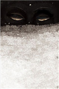见雪深是什么时候的文